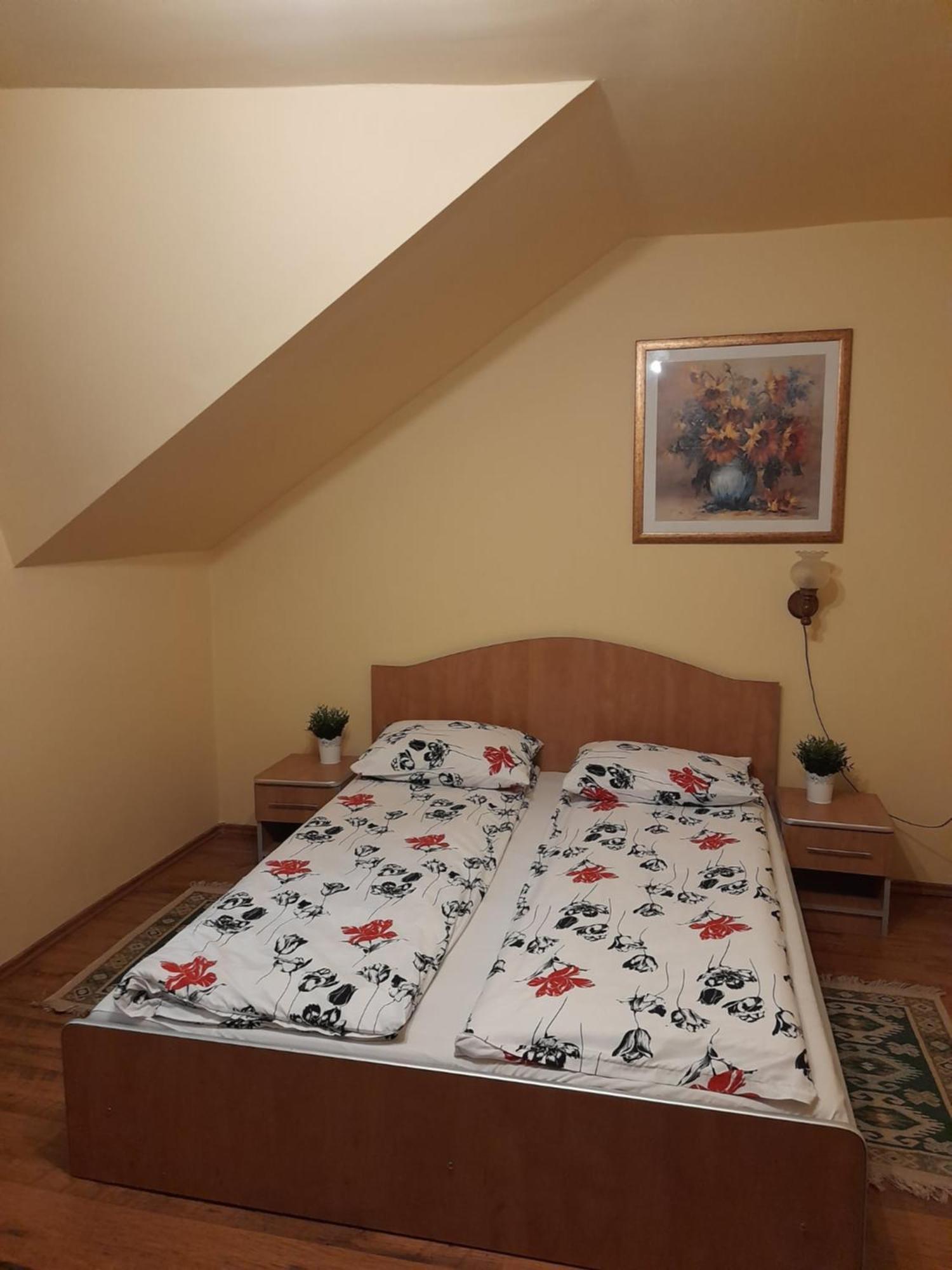 Panzio Anett Bed & Breakfast Pietroasa  Exterior photo